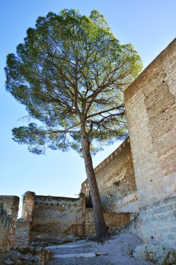 Beklediği, İspanya - 11 Kasım 2016. Kalıntıları beklediği Castle, Valencia, İspanya.
