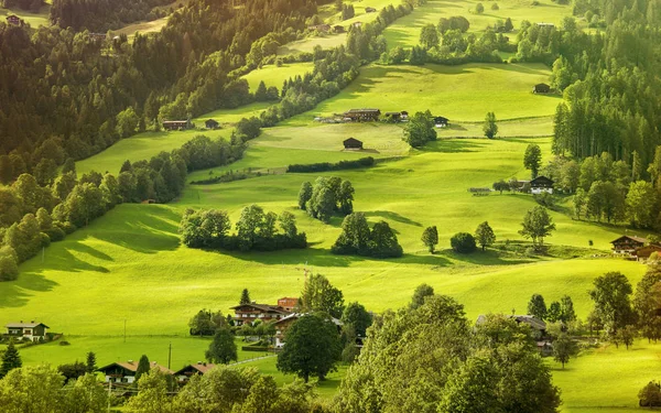 Westendorf, Alpler dağları, Tirol, Avusturya'da muhteşem kırsal manzara