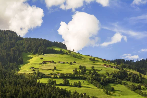 ウェストデンドルフ アルプス山脈 チロル オーストリアの素晴らしい田園風景 — ストック写真