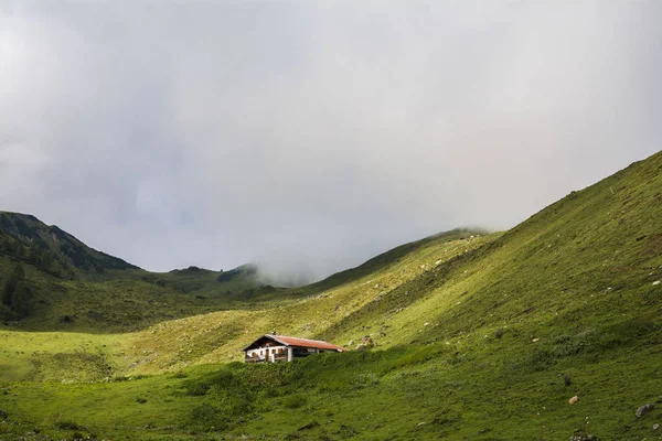 Paysage Incroyable Sur Sentier Escalade Sur Lac Wildseelodersee Fieberbrunn Alpes — Photo