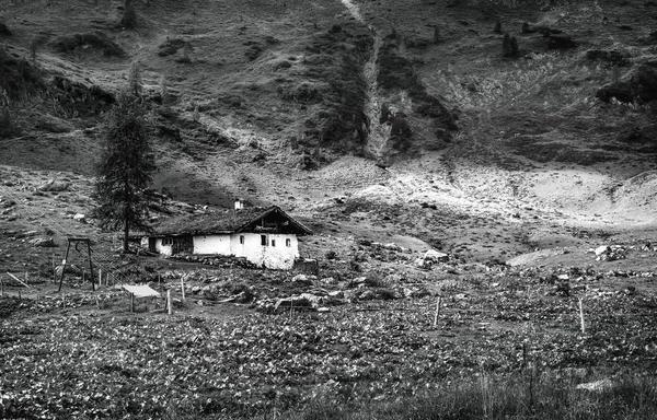 Campo Los Alpes Tiroleses Austria —  Fotos de Stock