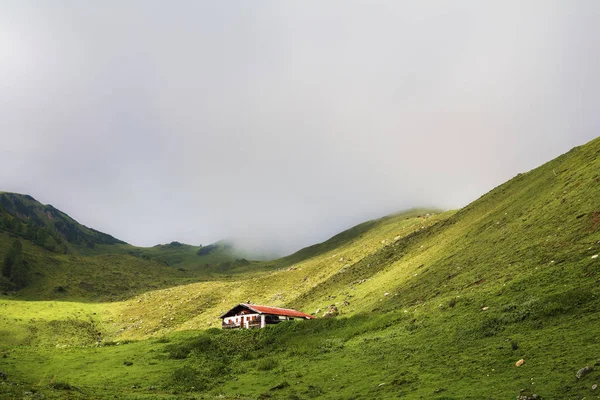 Manzara Fieberbrunn Kitzbuhel Köknar Alpler Avusturya Wildseelodersee Gölde Tırmanma Üzerinde — Stok fotoğraf