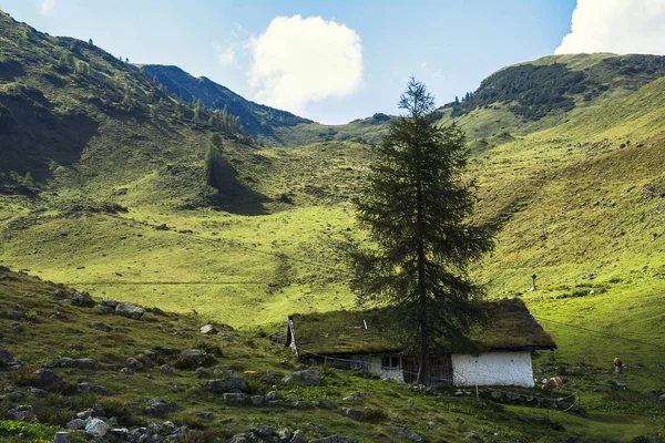 Piękny Widok Góry Henne Szlak Dwie Godziny Nad Jezioro Wildsee — Zdjęcie stockowe