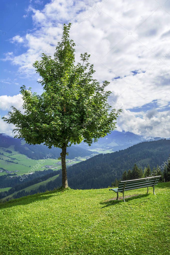 Tree and bench in Tirol, Alps mountains