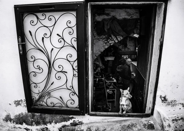 意大利阿尔伯罗贝洛 2019年2月11日 狗在窗户前看着外面 阿尔伯罗贝洛镇 普利亚地区 意大利 黑白图像 — 图库照片