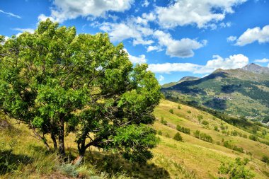 Güzel yaz manzara Alp dağlarında yakınındaki Sestriere Kayak Merkezi, İtalya