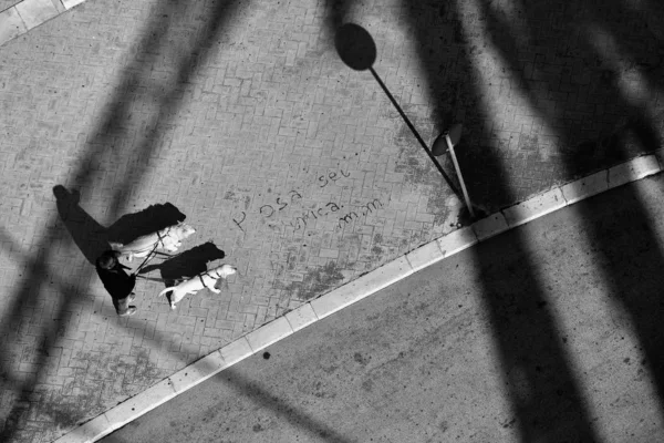 Birds Eye View Street Photography Light Shadow Taken Panorama Wheel — Foto Stock