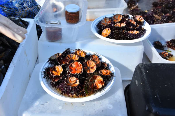 Ouriços Mar Fresco Ricci Mare Venda Porto Mercantil Bari Região — Fotografia de Stock