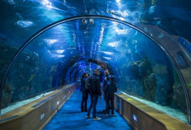 Valencia , İspanya - 7 Kasım 2016. Oşinografik içinde Turistler, Bir İspanyol oceanarium 2002 yılında, Valencia, İspanya açıldı.