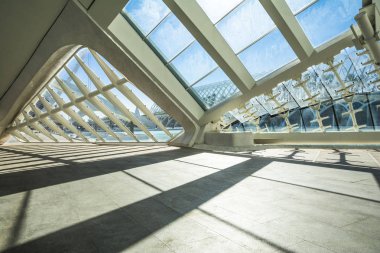 Valencia, İspanya - 7 Kasım 2016. Valencia, İspanya 'daki Sanat ve Bilim Müzesi Manzarası.