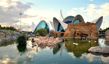 Valencia, İspanya - 11 Kasım 2016. Oşinografik merkeziflamingo havuzunda sonbahar gün batımı , Valencia , İspanya.