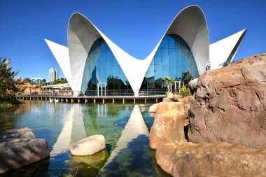 Valencia , İspanya - 7 Kasım 2016. Oşinografik bina, 2002 yılında Valencia, İspanya'da bir İspanyol oceanarium'un açılışı.