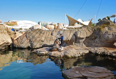 İspanya, Valencia, Bilim ve Sanat Şehri, Oceanografic, Avrupa'nın en büyük oşinografik parkı, deniz aslanı gösterisi