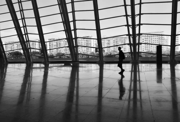 Valencia Espagne Novembre 2016 Vue Musée Cité Des Arts Des — Photo