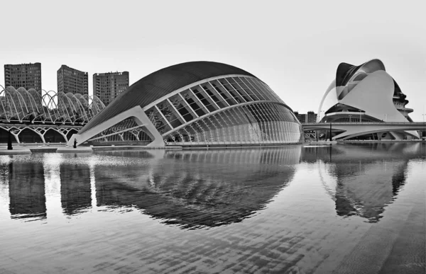 Valencia Spain November 2016 View City Arts Sciences Museum Valencia — 스톡 사진