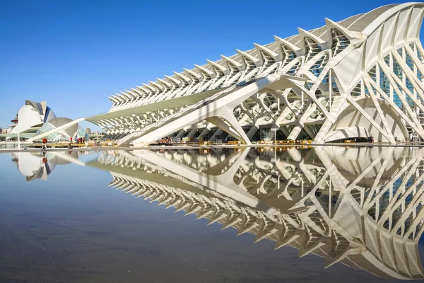 Valencia Espanha Novembro 2016 Bela Estrutura Museu Cidade Das Artes — Fotografia de Stock