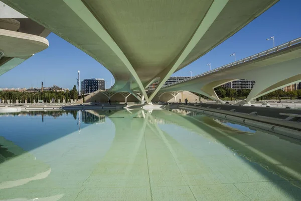 Valencia Spanyolország November 2016 Gyönyörű Szerkezete Város Művészeti Tudományos Múzeum — Stock Fotó