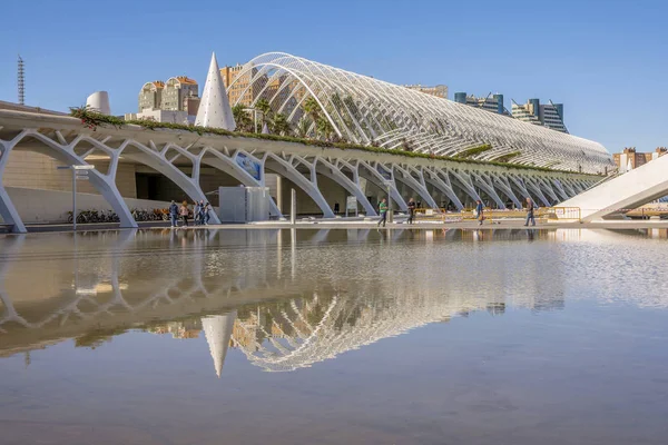 Valencia Spanyolország November 2016 Gyönyörű Szerkezete Város Művészeti Tudományos Múzeum — Stock Fotó