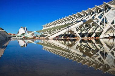 Valencia ,İspanya - 7 Kasım 2016. Valencia, İspanya'daki Güzel Sanatlar Ve Bilim Müzesi'nin güzel yapısı.