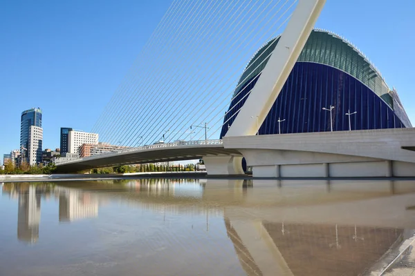 Walencja Hiszpania Listopada 2016 Piękna Struktura Muzeum Miasta Sztuki Nauk — Zdjęcie stockowe