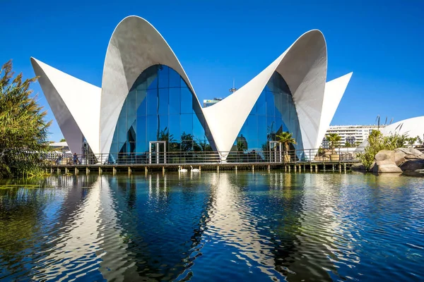 Walencja Hiszpania Listopada 2016 Oceanograficzny Budynek Hiszpański Oceanarium Zainaugurowany 2002 — Zdjęcie stockowe