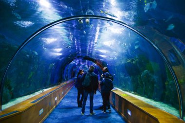 Valencia , İspanya - 7 Kasım 2016. Oşinografik içinde Turistler, Bir İspanyol oceanarium 2002 yılında, Valencia, İspanya açıldı.