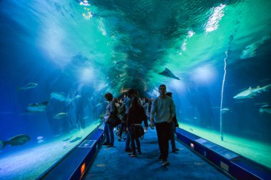 Valencia , İspanya - 7 Kasım 2016. Oşinografik içinde Turistler, Bir İspanyol oceanarium 2002 yılında, Valencia, İspanya açıldı.