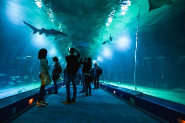 Valencia , İspanya - 7 Kasım 2016. Oşinografik içinde Turistler, Bir İspanyol oceanarium 2002 yılında, Valencia, İspanya açıldı.