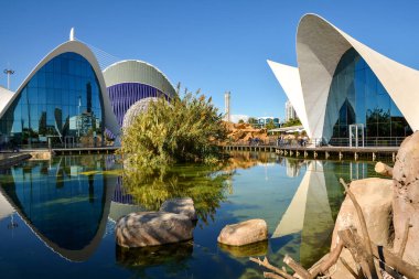 Valencia , İspanya - 7 Kasım 2016. Oşinografik bina, 2002 yılında Valencia, İspanya'da bir İspanyol oceanarium'un açılışı.