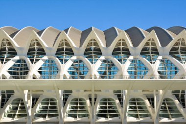 Valencia ,İspanya - 7 Kasım 2016. Valencia, İspanya'daki Güzel Sanatlar Ve Bilim Müzesi'nin güzel yapısı.