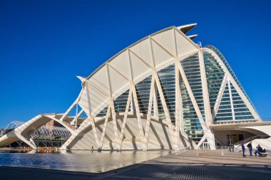 Valencia ,İspanya - 7 Kasım 2016. Valencia, İspanya'daki Güzel Sanatlar Ve Bilim Müzesi'nin güzel yapısı.