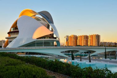 Valencia ,İspanya - 7 Kasım 2016. Valencia, İspanya'da Sanat ve Bilimmüzesi'nin gün batımında güzel manzara.