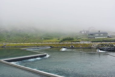 Norveç'te Trollstigen - Norveç'te Trollstigen - Norveç Manzara Route Geiranger parçası Trollstigen dağ yolu üzerinde güzel sisli manzara. 