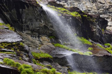 Geirangerfjord 'daki Yedi Kız Kardeş şelalesi Unesco Dünya Mirası' na dahil olmak üzere dünyanın en güzel fiyortları olan Sunnmore Bölgesi, Norveç 'te tekne gezisiyle görülür..