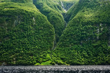 Beautiful coast of Geirangerfjord seens by boat trip, Sunnmore region, Norway,  most beautiful fjords in the world, included on the UNESCO World Heritage.
