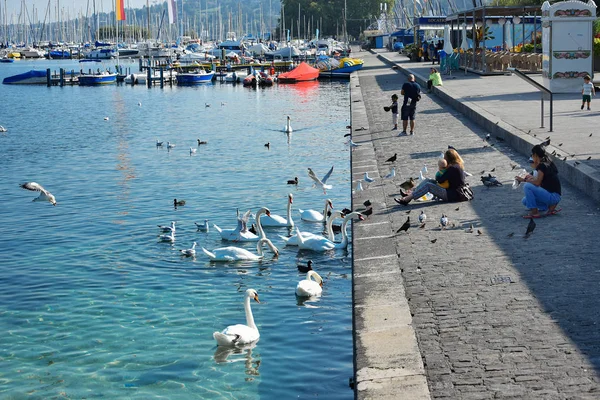 Cenevre Sviçre Ağustos 2019 Leman Gölü Kıyısında Cenevre Şehrinde Rekreasyon — Stok fotoğraf