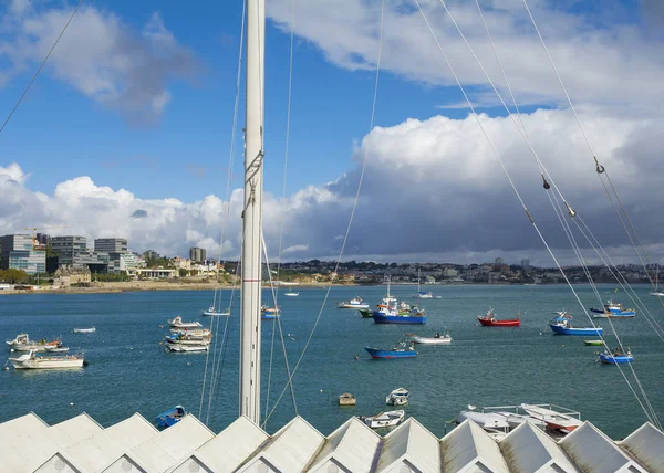 Amazing Pespective Fishing Boats Luxury Yachts Docked Cascais Marina Coastal — Stock Photo, Image