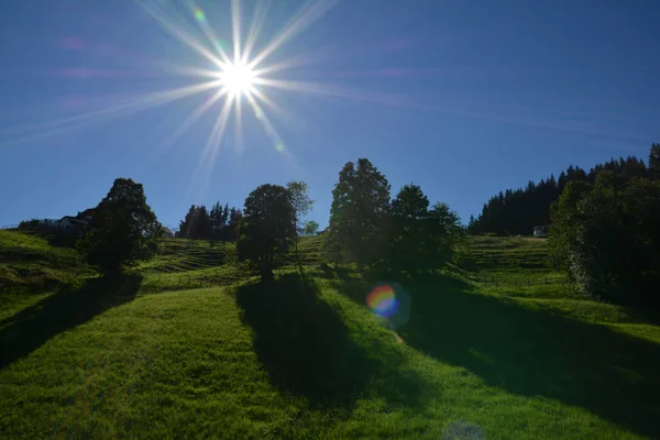 Beautiful Green Landscape Soll Austrian Alps Tyrol Austria — Stock Photo, Image
