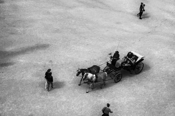 オーストリアのザルツブルク 2017年7月25日 オーストリアのザルツブルク旧市街にあるユネスコ世界遺産のレジデンツプラッツ広場での馬車 黒と白 — ストック写真