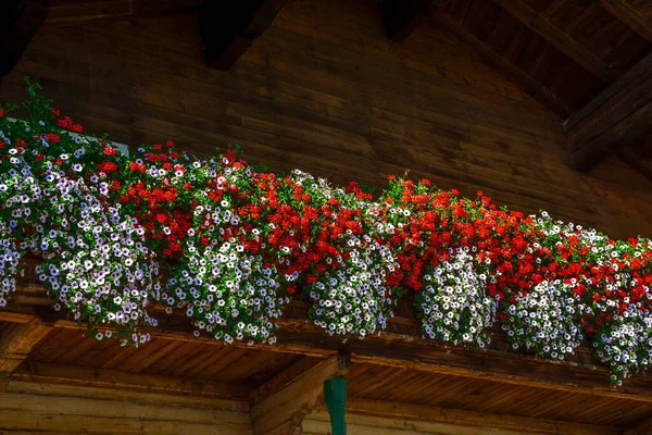 Традиційний Фасад Яскравими Квітами Тіролі Австрія — стокове фото