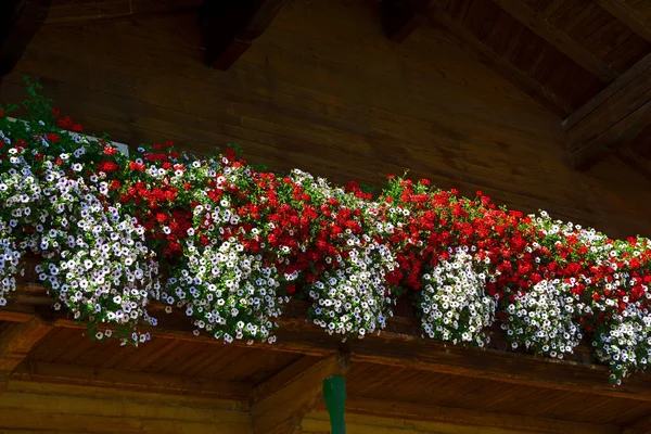 Традиційний Фасад Яскравими Квітами Тіролі Австрія — стокове фото