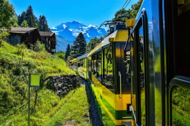 Sarı ve yeşil trenli güzel bir manzara - Bernese Highlands Demiryolu, Lauterbrunnen köyünden Grindelwald, Jungfrau bölgesine, Bernese Oberland, İsviçre