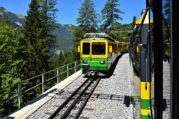 Beautiful Scenery Yellow Green Train Bernese Highlands Railway Lauterbrunnen Village — стоковое фото