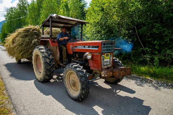 Moisei Maramures Roemenië Augustus 2020 Tractor Met Oogst Weg Van — Stockfoto