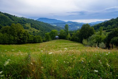 Romanya 'nın Maramures ilçesinde güzel bir manzara