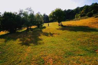 Romanya 'nın Maramures kentinde gün batımında doğa yürüyüşü
