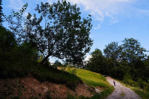 Caminhando Natureza Pôr Sol Maramures Roménia — Fotografia de Stock