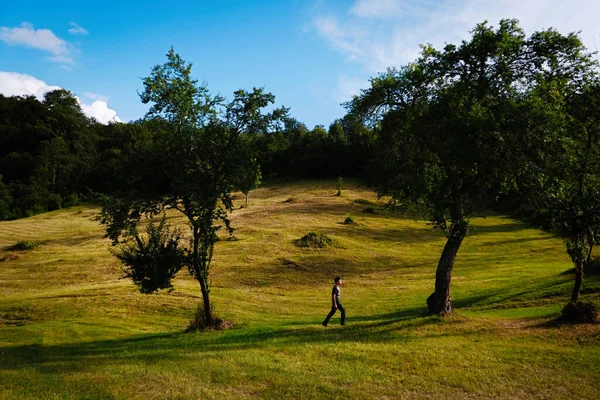 Passeggiate Nella Natura Tramonto Maramures Romania — Foto Stock