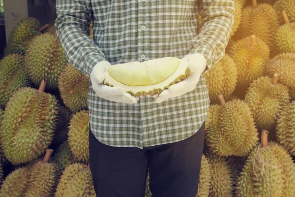 Bahçe dostum Durian meyve.
