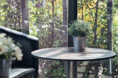 Tablo Bahçe saksı.